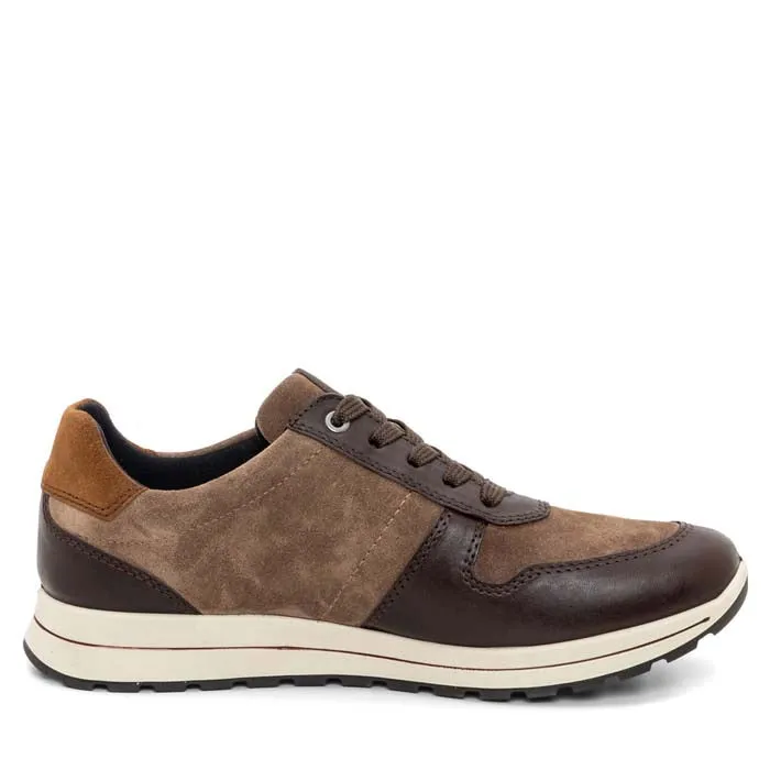 Mens Ara Maverick in Amarone/Sesame/Brown