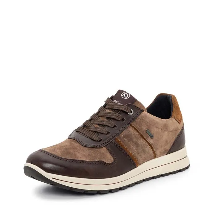 Mens Ara Maverick in Amarone/Sesame/Brown