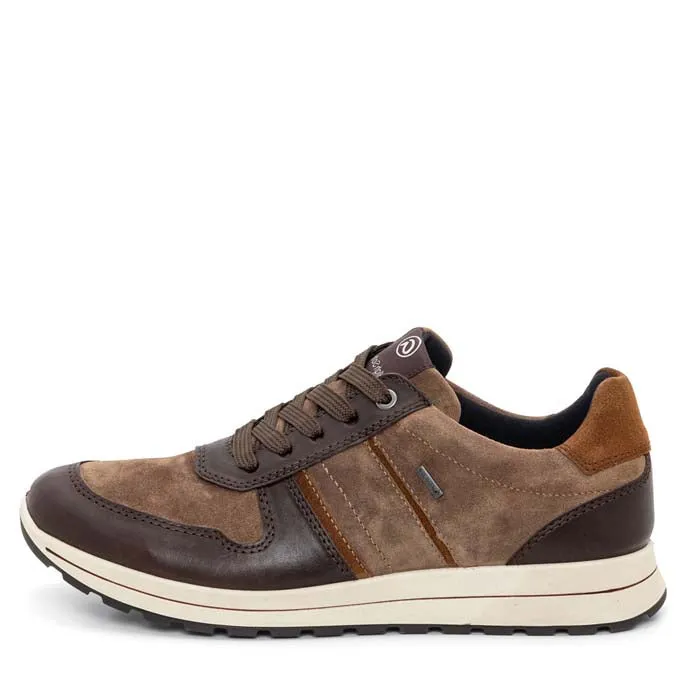 Mens Ara Maverick in Amarone/Sesame/Brown